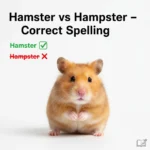 Hamster or Hampster